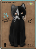 KittyCatS Box - Chimera - Black Grey Male