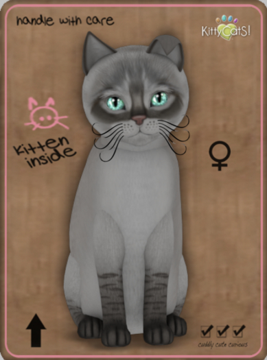 KittyCatS Box - Balinese - Blue Lynx Female