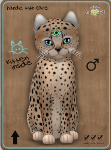 KittyCatS Box - Cheetah! - Au Natural Male