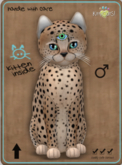 KittyCatS Box - Cheetah! - Au Natural Male
