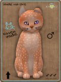 KittyCatS Box - Cheetah! - Tangerine Male