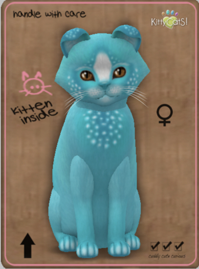 KittyCatS Box - Confetti - TealBerry Female