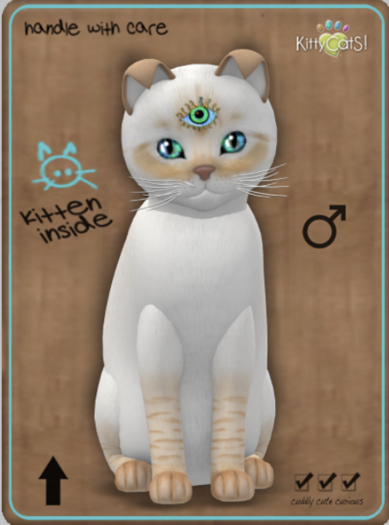 KittyCatS Box - Balinese - Flame Lynx Male