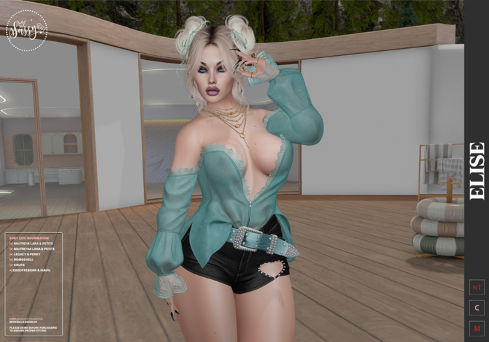 :SAF: ELISE  (Delivery HUD)