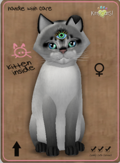 KittyCatS Box - Abyssinian - Salt & Pepper Female