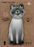 KittyCatS Box - Abyssinian - Salt & Pepper Female