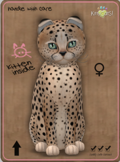 KittyCatS Box - Cheetah! - Au Natural Female