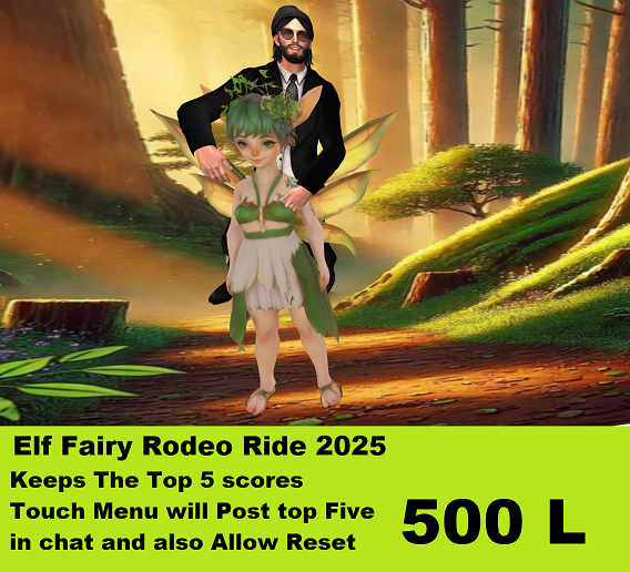 Elf Fairy Rodeo Ride 2025