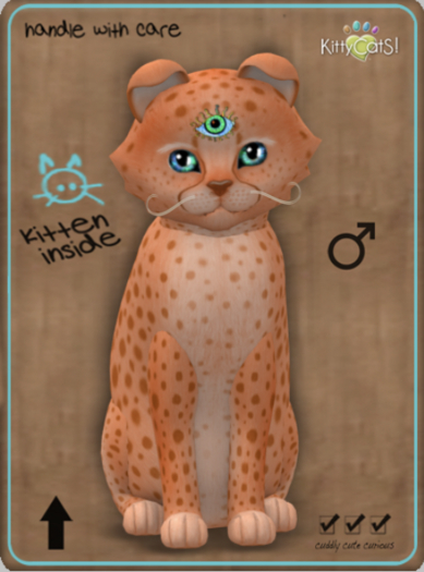 KittyCatS Box - Cheetah! - Tangerine No. 2 Male