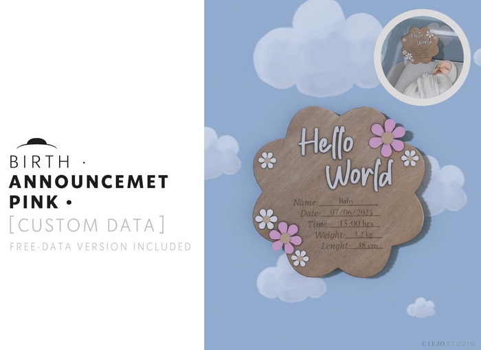 CIELO STUDIO - Birth ANNOUNCEMENT (Pink)