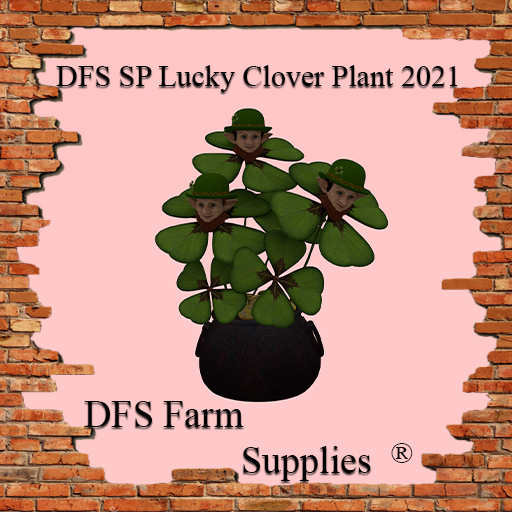 DFS SP Lucky Clover Plant 2021 - Limited St. Patrick Edition