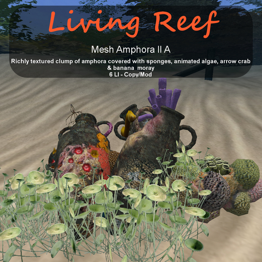 Inochi Reef - Amphora II A