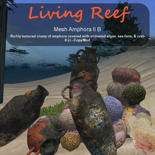 Inochi Reef - Amphora II B