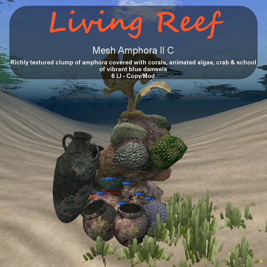 Inochi Reef - Amphora II C