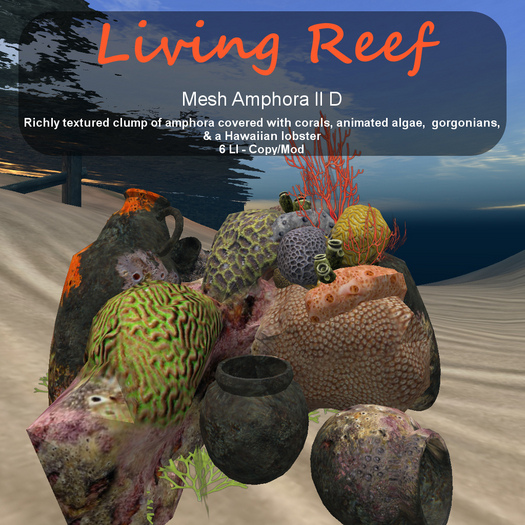 Inochi Reef - Amphora II D