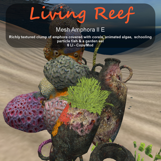 Inochi Reef - Amphora II E