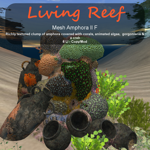 Inochi Reef - Amphora II F