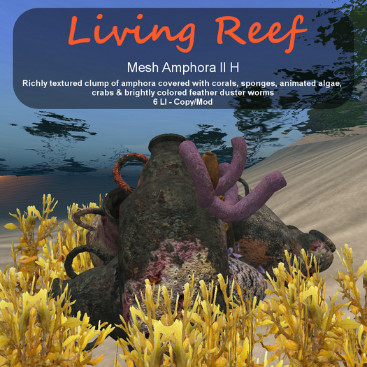 Inochi Reef - Amphora II H