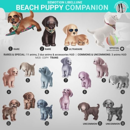 SEmotion Libellune Beach Puppy Companion RARE 02