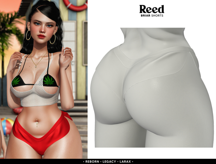 REED - BRIAR SHORTS WHITE