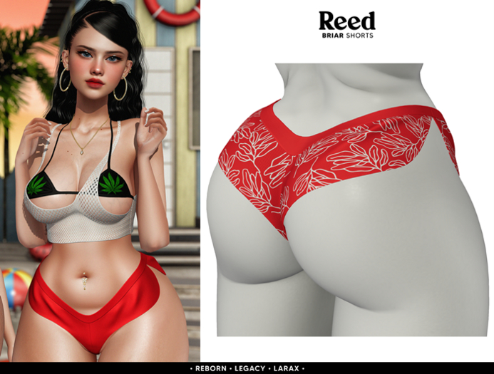 REED - BRIAR SHORTS W.RED
