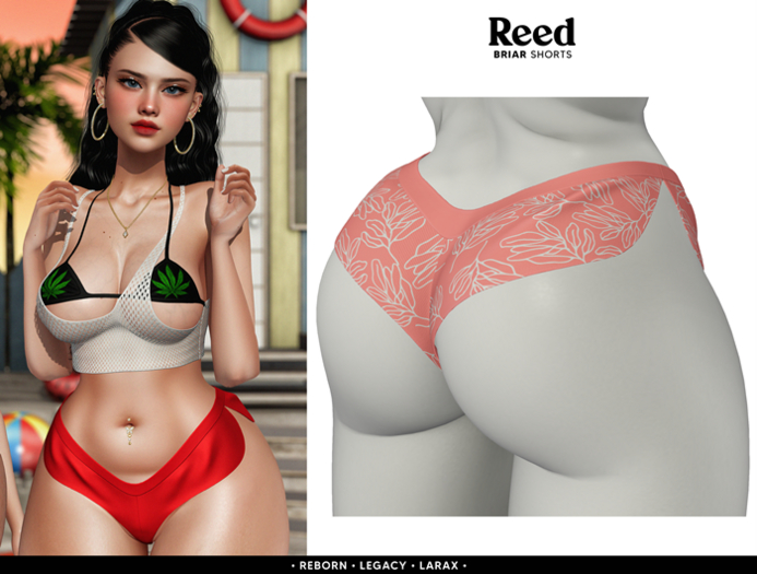 REED - BRIAR SHORTS W.PEACH