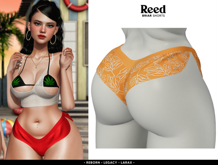 REED - BRIAR SHORTS W.ORANGE