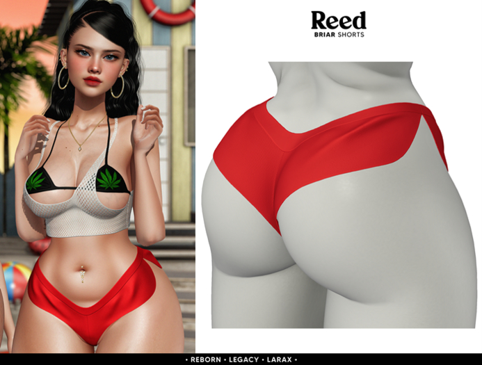 REED - BRIAR SHORTS RED