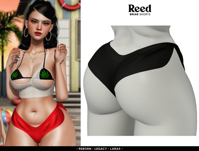 REED - BRIAR SHORTS BLACK