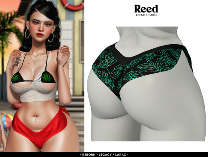 REED - BRIAR SHORTS B.AQUA