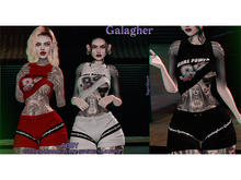 Galagher - Abby Fatpack