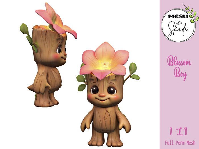 MBS - Blossom Boy FP