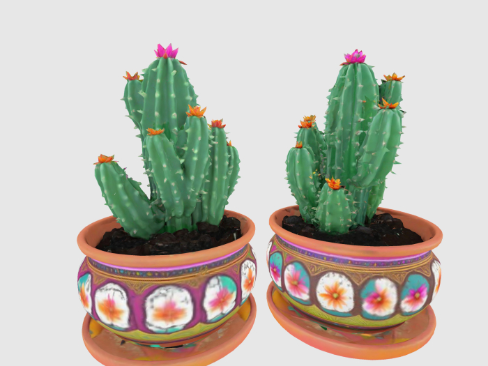 Boho Cactus Plant FULL PERM