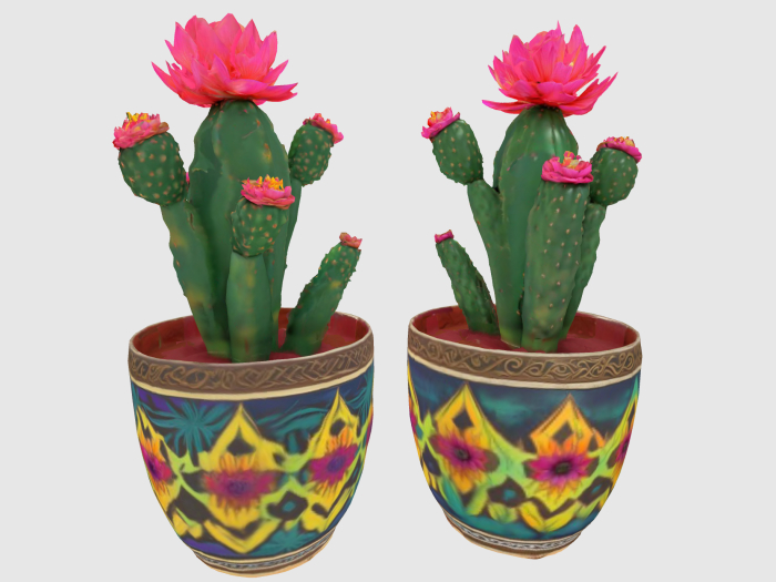 Boho Pink Cactus Plant FULL PERM