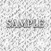 Zoy Texture [ Delicate Lace Seamless 03 ] B