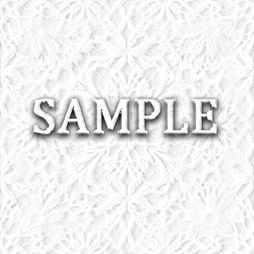Zoy Texture [ Delicate Lace Seamless 03 ] E