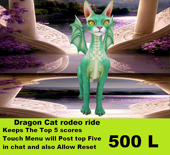 Dragon Cat Rodeo Ride 2025