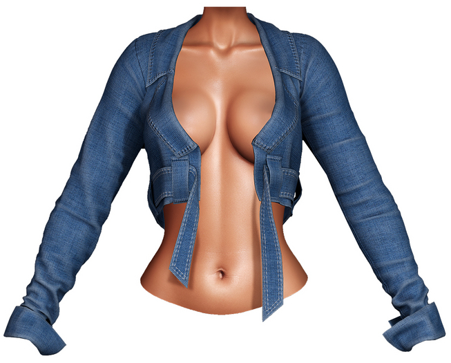 Denim Jacket Gloria Shade 3