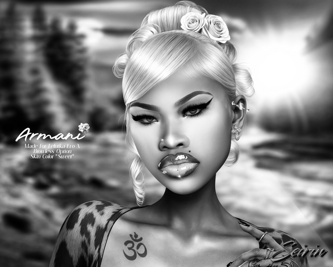 [SEIRIN] - Armani DEMO