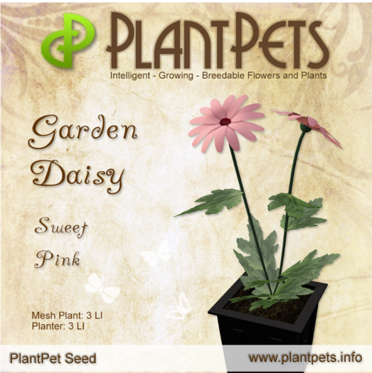 PlantPet Seed [Garden Daisy *Sweet Pink*]