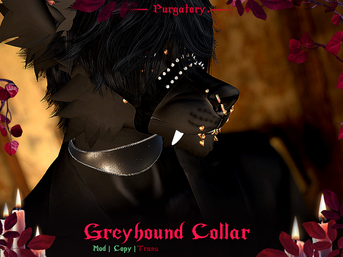 Purgatory. - Greyhound Collar