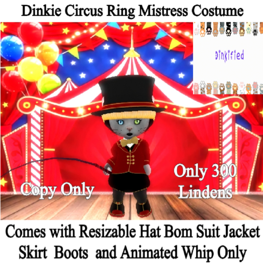 300Dinkified Dinkie  Circus Ring Mistress Costume