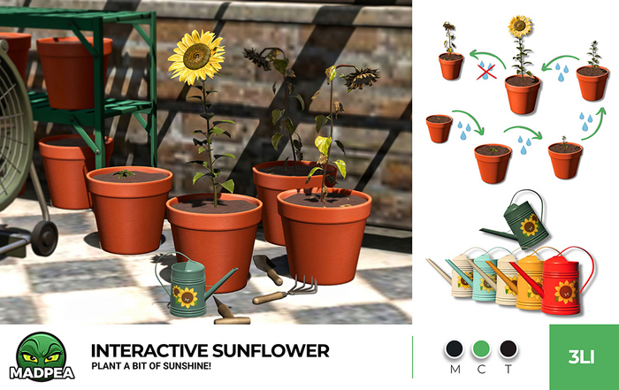 MadPea Interactive Sunflower