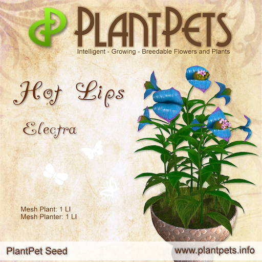 PlantPet Seed [Hot Lips *Electra*] Rare