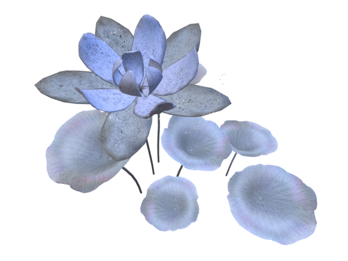 7 Lillys// Lillystone // 3rd Eye