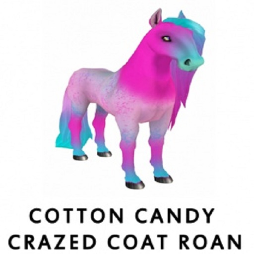 Cotton Candy Crazed Coat Roan F