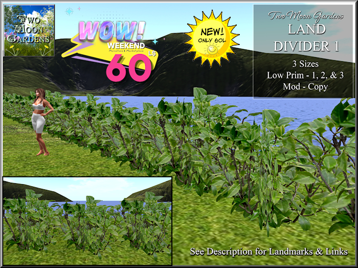 Land Divider 1
