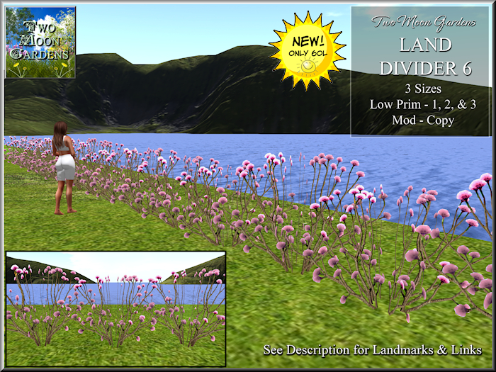 Land Divider 6