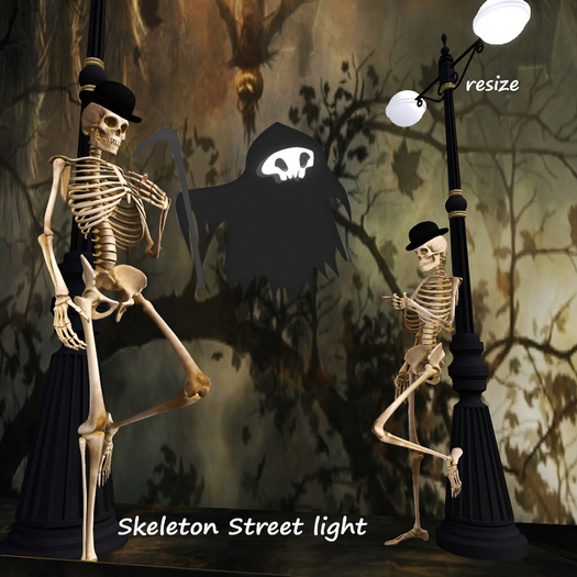 Skeleton Street light / resize Box
