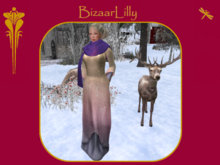 Shetland Wool & Silk Wrap ~ Daisybush